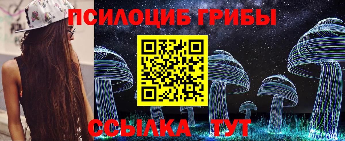Псилоцибиновые грибы Psilocybe  Вход с VPN  Нижний Новгород 