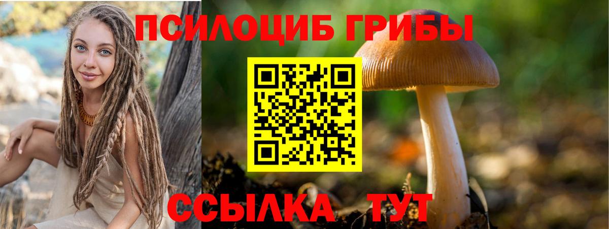 Псилоцибиновые грибы ЛСД Нижний Новгород